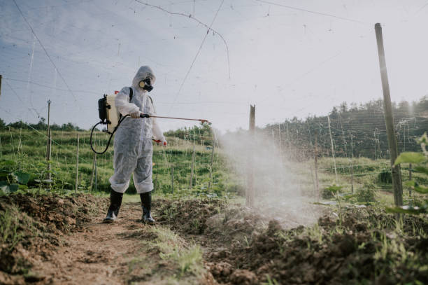 Best Best Pest Control Companies  in Mechanicsville, MD