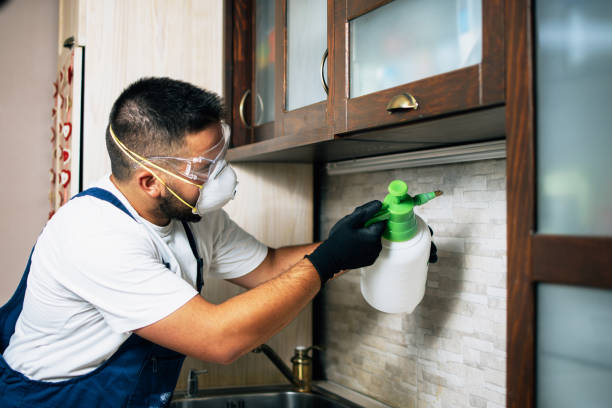 Best Residential Pest Control  in Mechanicsville, MD