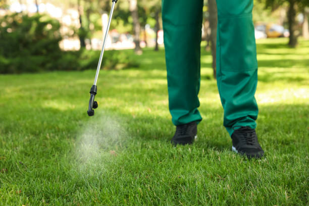 Best Pest Control Near Me in Mechanicsville, MD