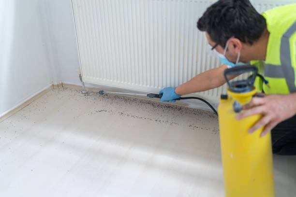 Best Local Pest Control Services  in Mechanicsville, MD