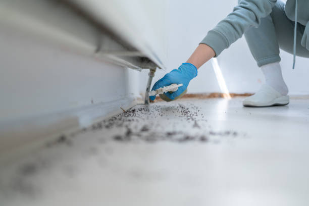 Professional Pest Control in Mechanicsville, MD