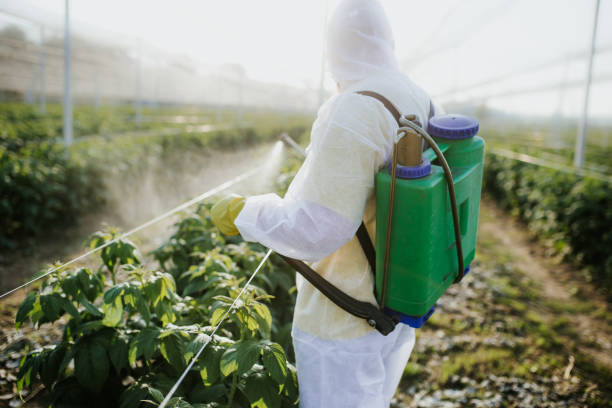 Pest Prevention Services in Mechanicsville, MD